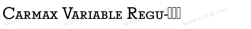 Carmax Variable Regu字体转换